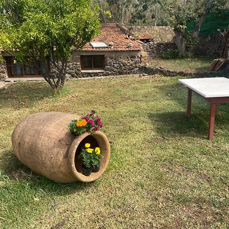 Rural House To Take A Break, La Serreria 25 - Private Garden Tacoronte Ngoại thất bức ảnh