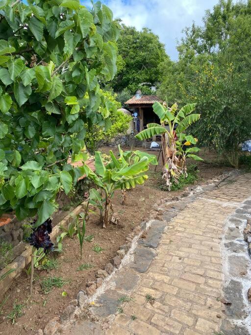 Rural House To Take A Break, La Serreria 25 - Private Garden Tacoronte Ngoại thất bức ảnh
