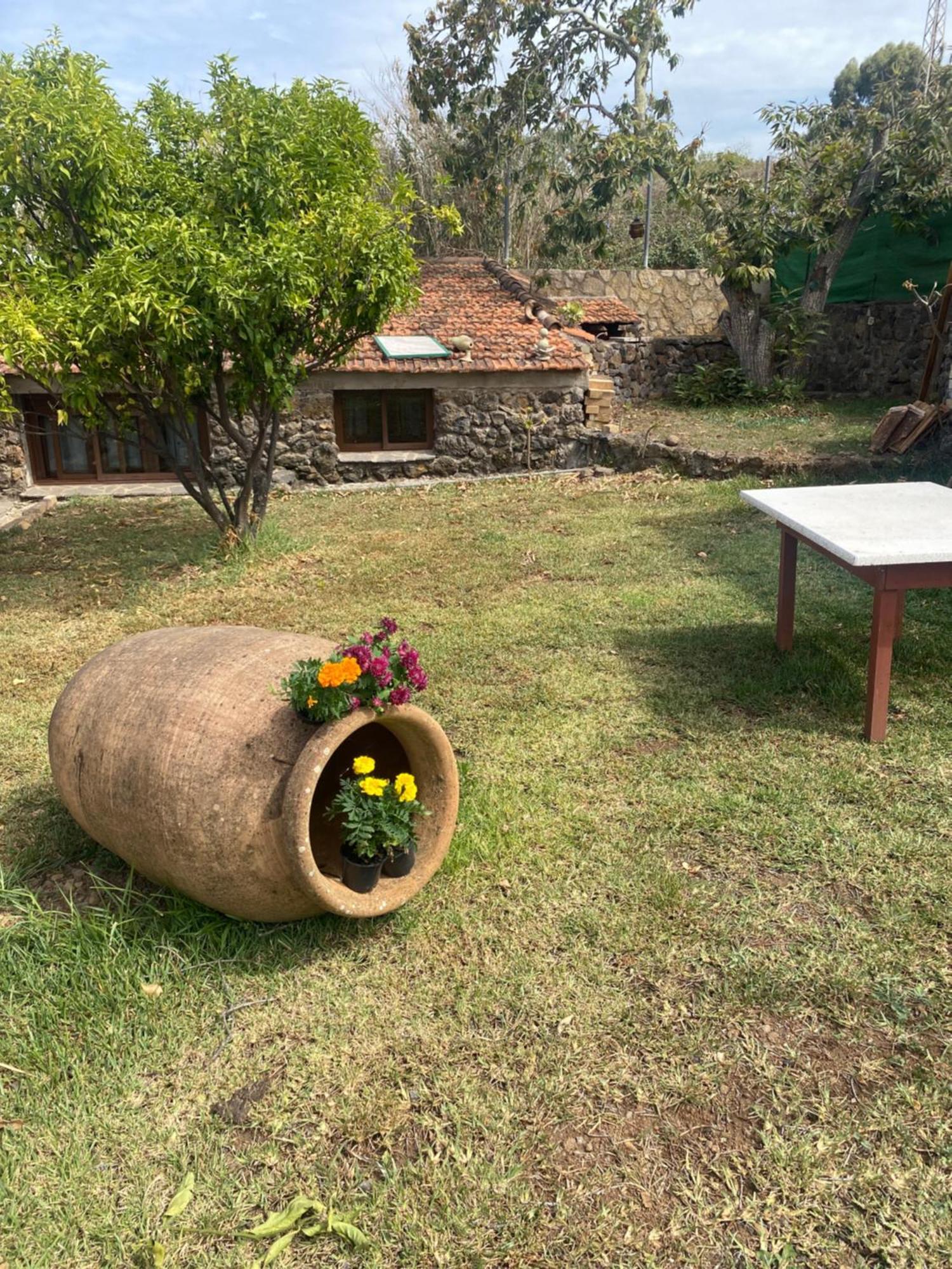 Rural House To Take A Break, La Serreria 25 - Private Garden Tacoronte Ngoại thất bức ảnh