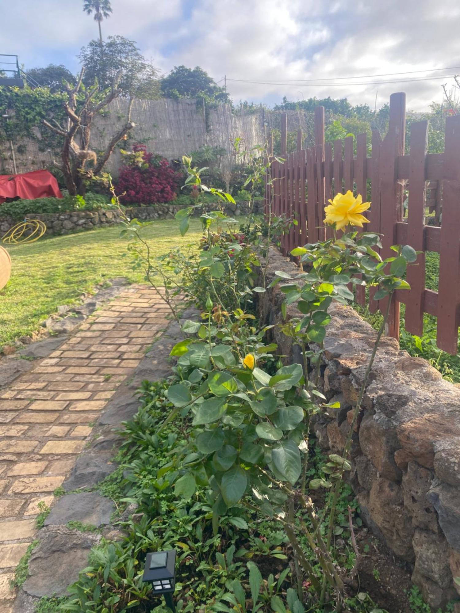 Rural House To Take A Break, La Serreria 25 - Private Garden Tacoronte Ngoại thất bức ảnh